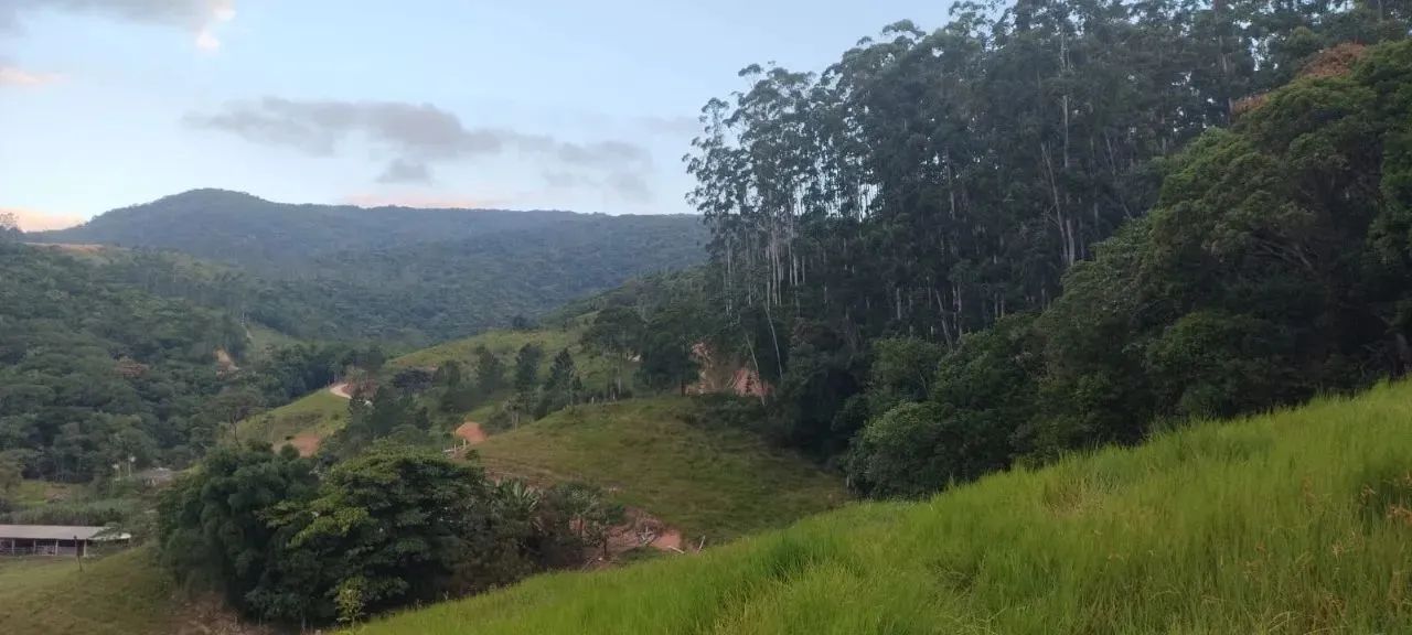 Área com 14.000m² em Alto Biguaçu - Foto 5