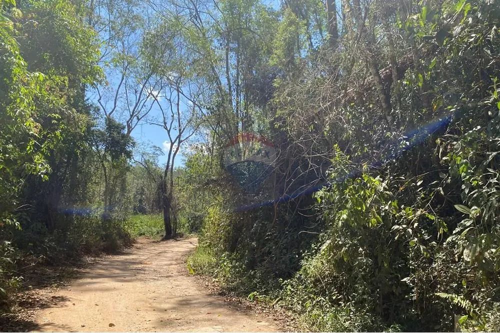 Lotes Comerciais e Residenciais a venda - 2521 m2 - Nova Friburgo - Novo Bairro em desenvo - Foto 4