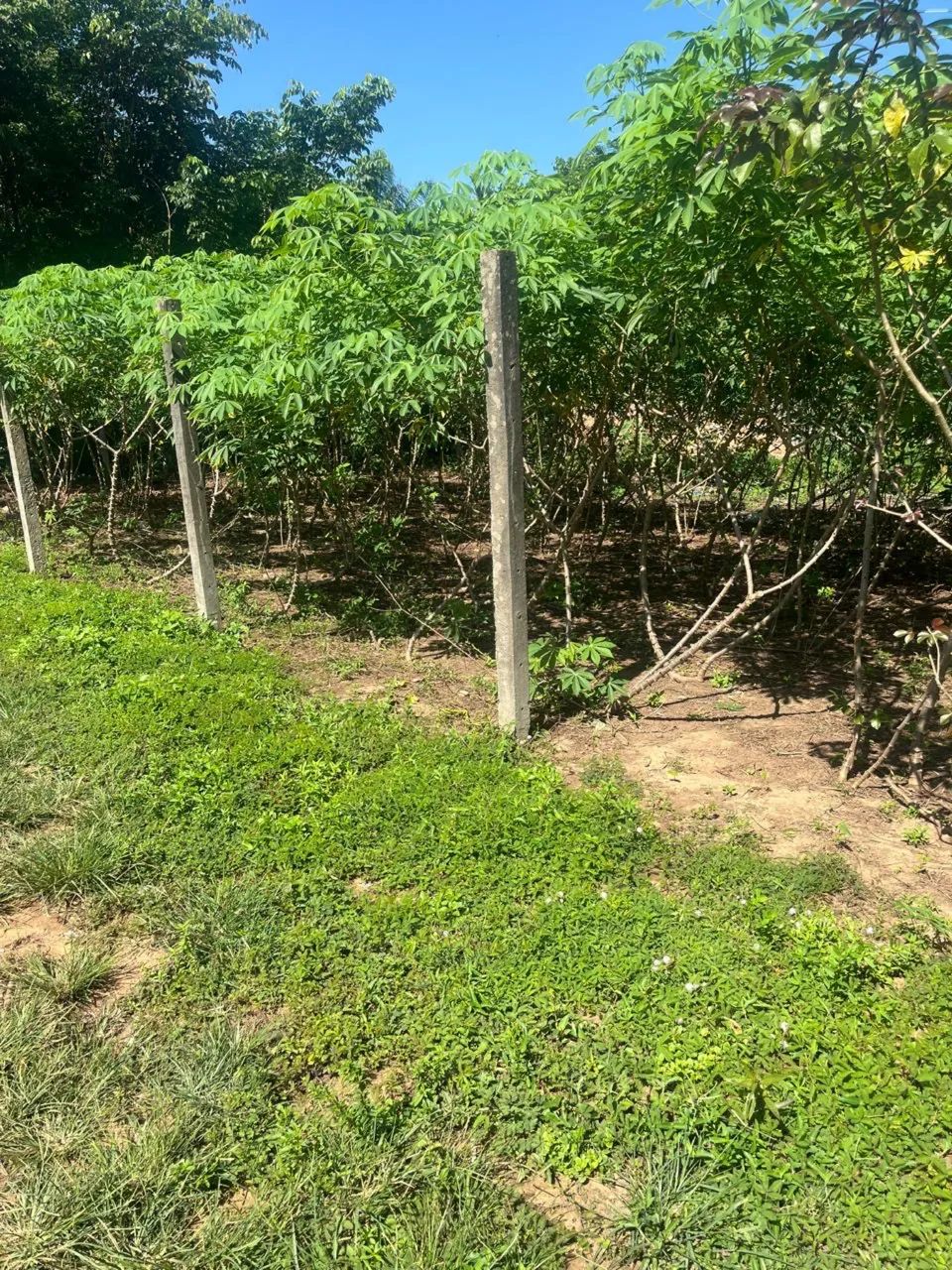 VENDE-SE. TERRENO. R$ 20.000, IRANDUBA - Foto 3