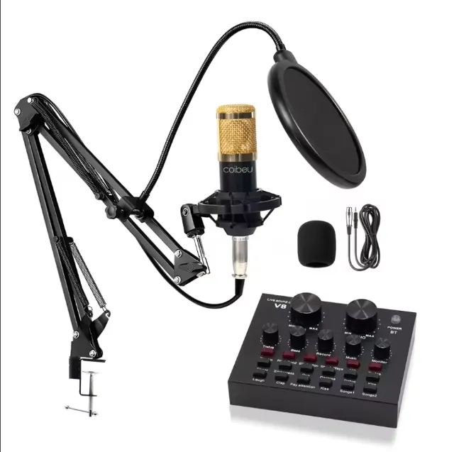 Microfone Coibeu c/ Braço Articulado + Placa Som BM-800 - NOVO