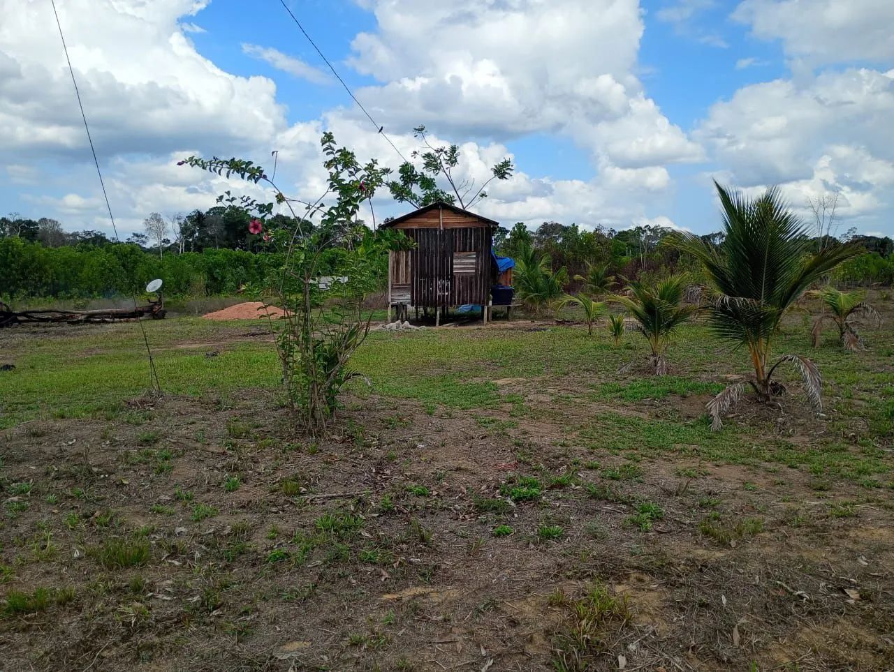 Foto - Macapá - Jardim Marco Zero