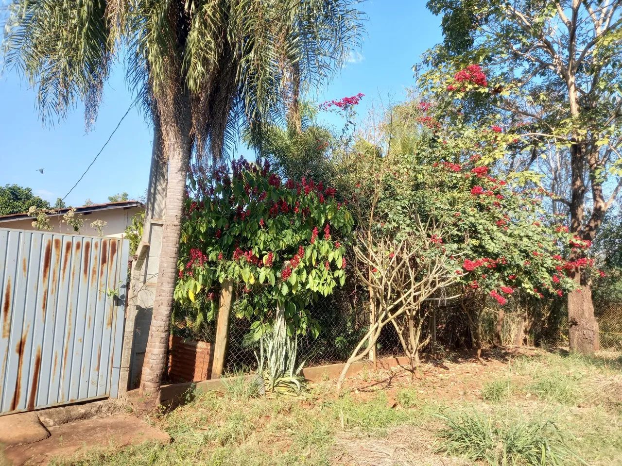 Vendo uma chácara a 15 km de Campo Grande MS  - Foto 2