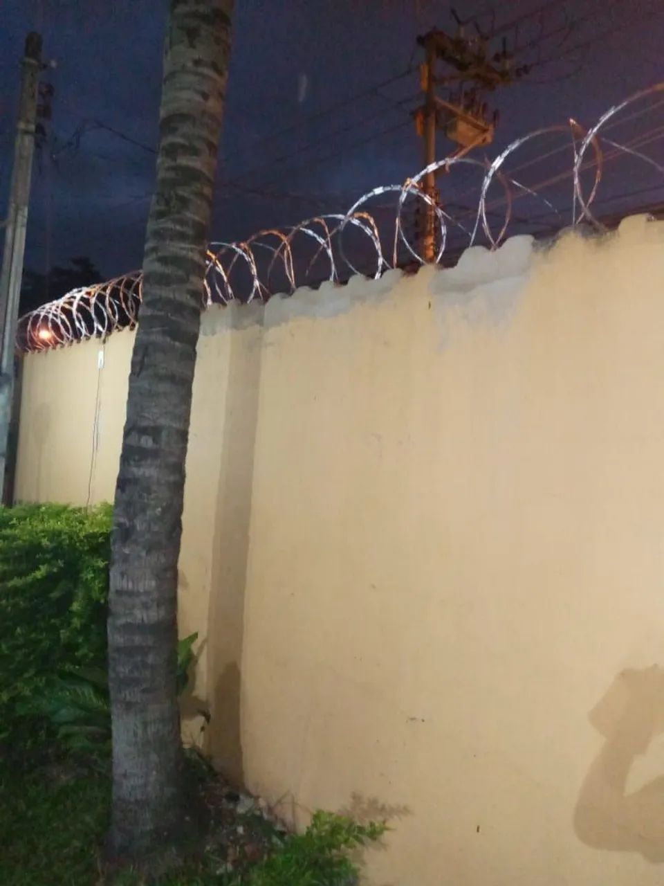 Cerca Cortante concertina * - Foto 3