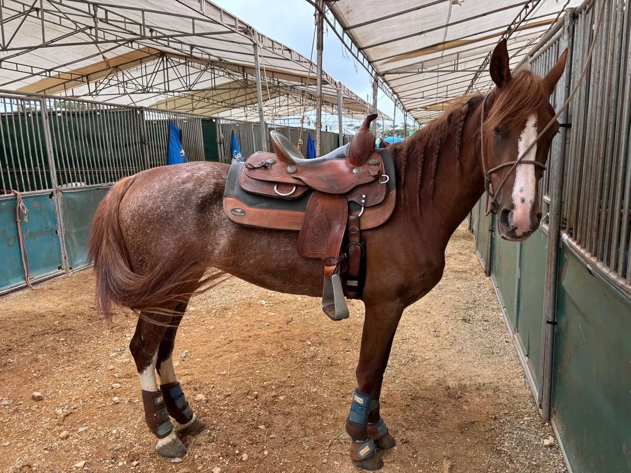 Égua manga larga top passo  - Foto 2