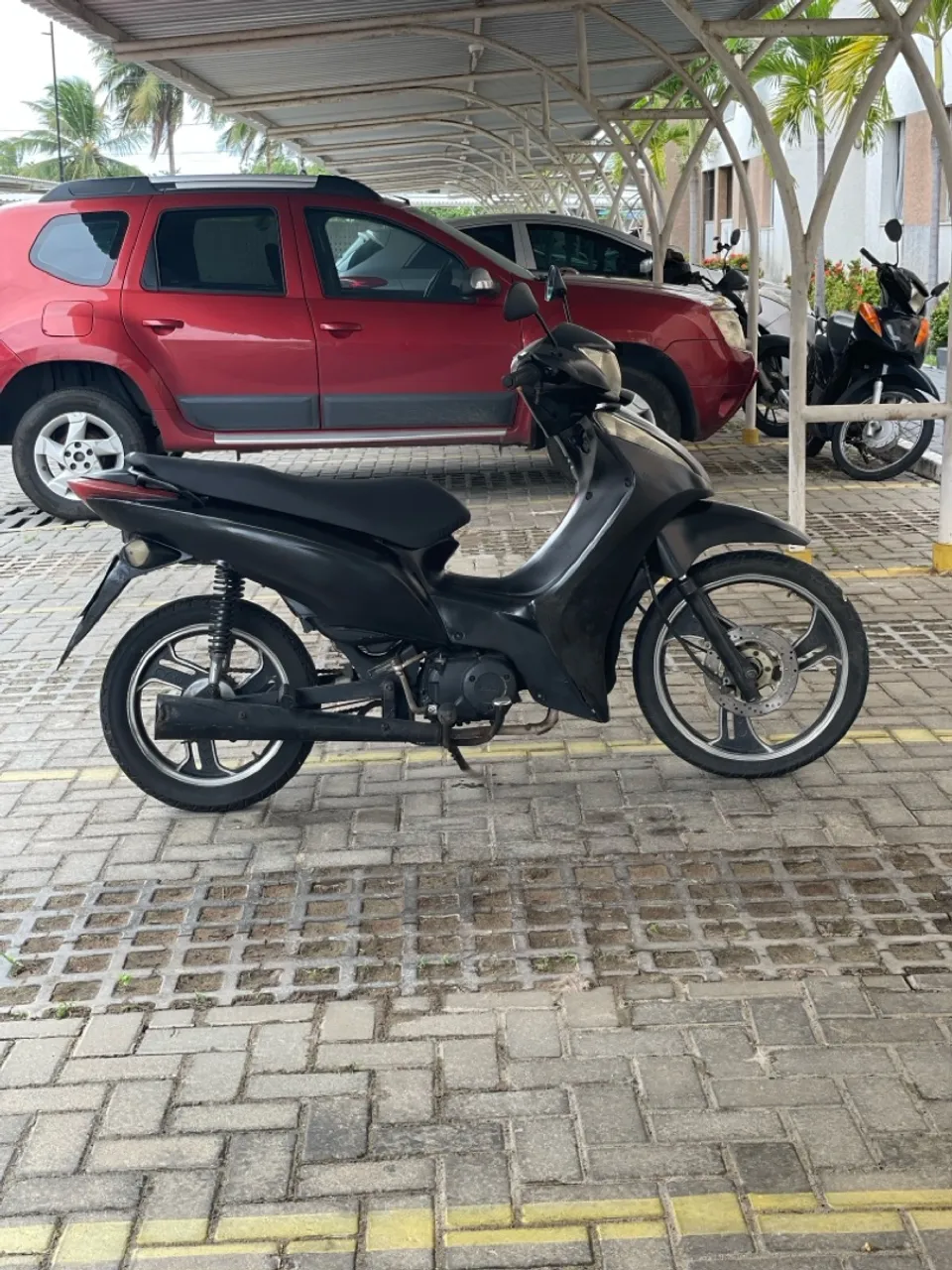 Moto Bull