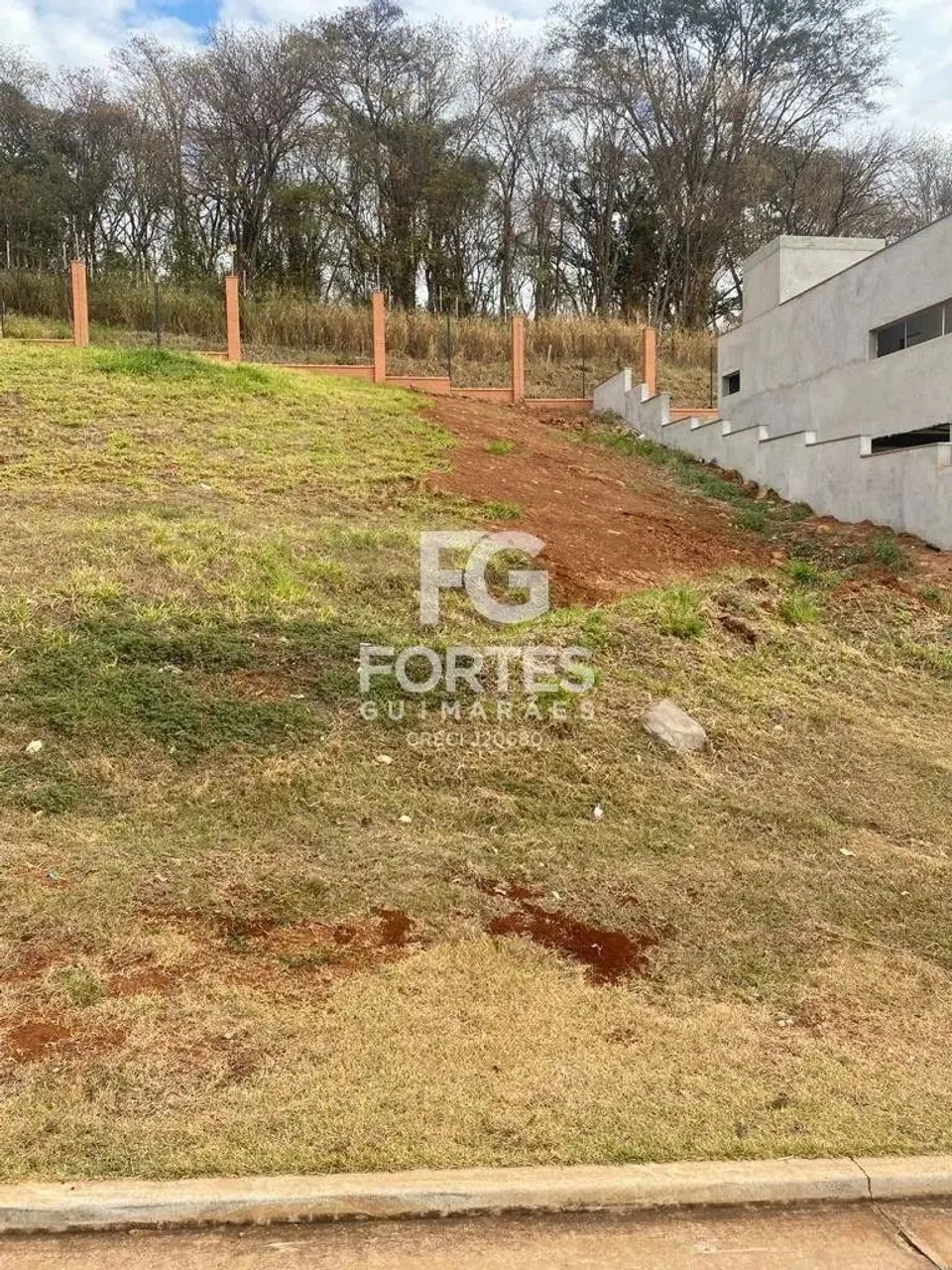 - Ribeirão Preto