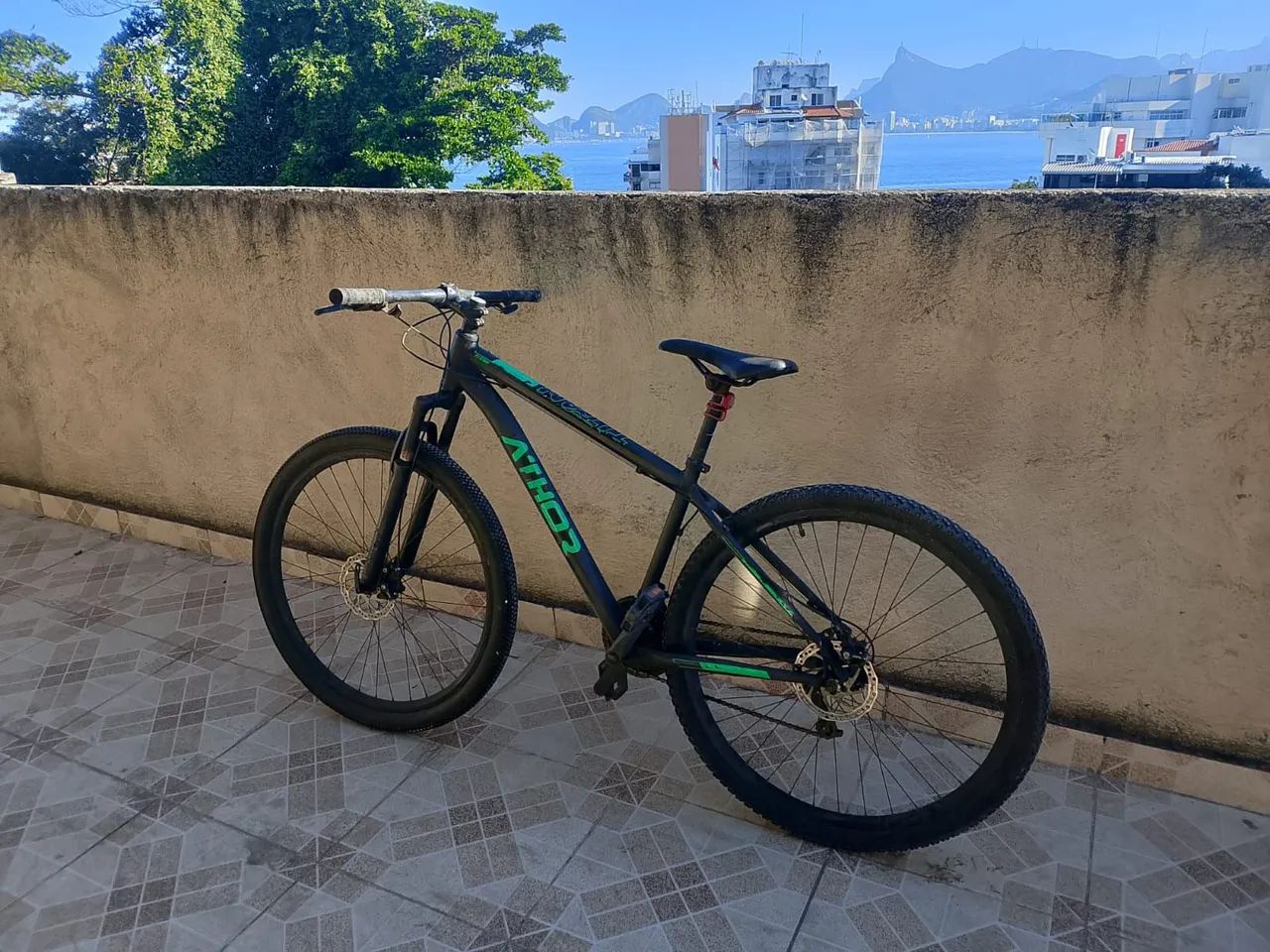 Bicicleta Athor 29