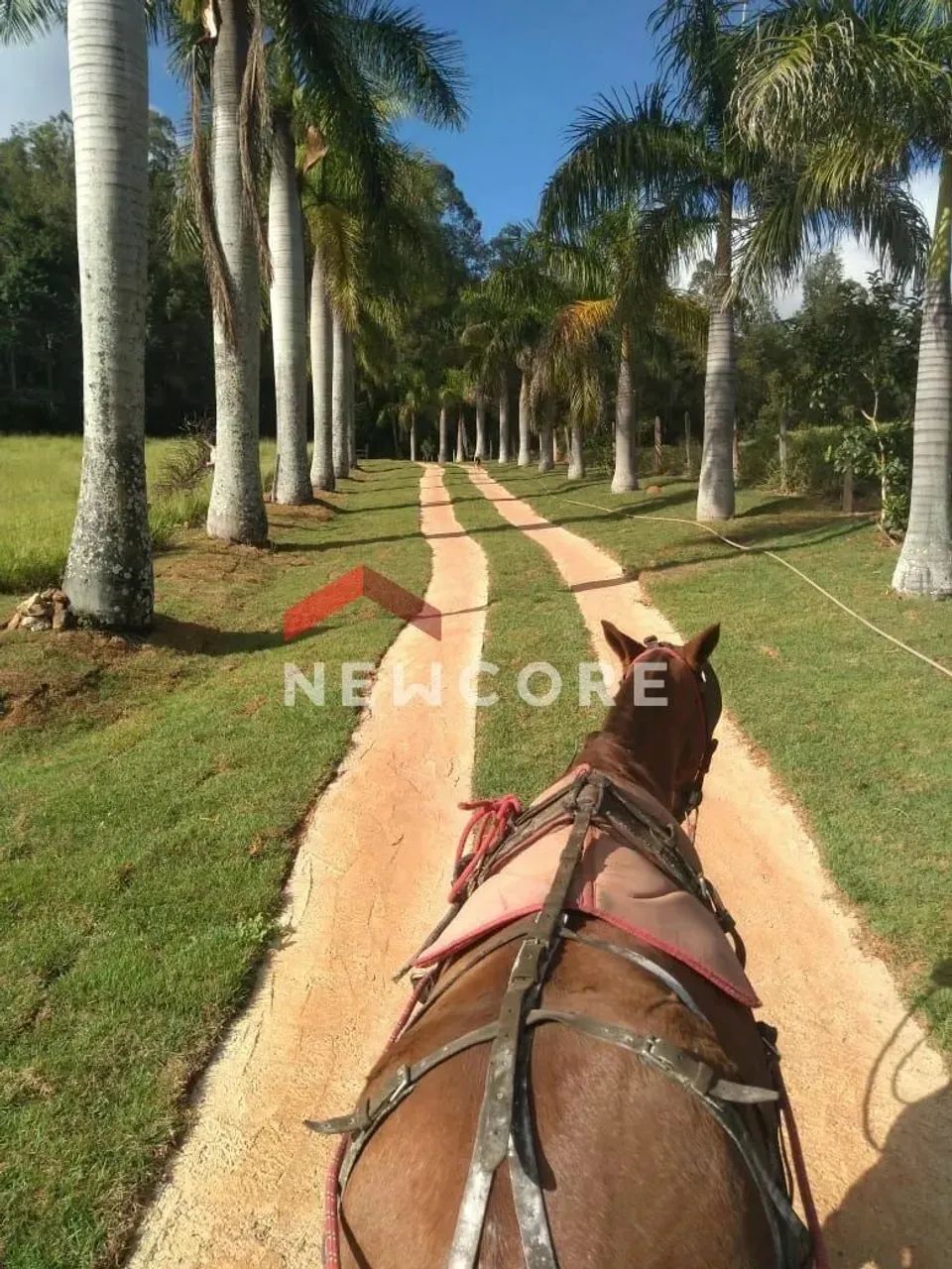 Sítio em Rodovia Engenheiro Constâncio Cintra - Área Rural de Itatiba - Itatiba/SP - Foto 2