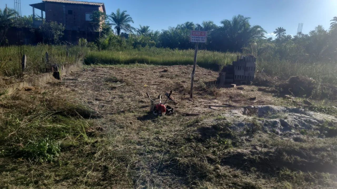 Terreno ilha - Foto 2
