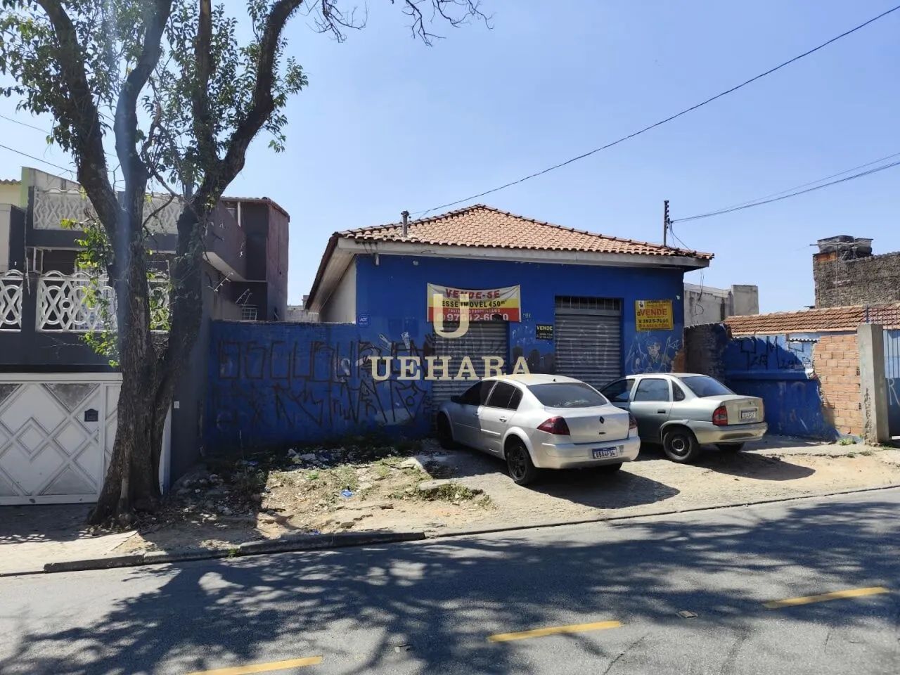 Comercial e casas de rendas - Casa Verde Alta - Zona Norte