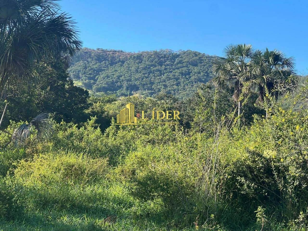 Fazenda à venda, AREA RURAL DE ARAGUARI - Araguari/MG - Foto 12