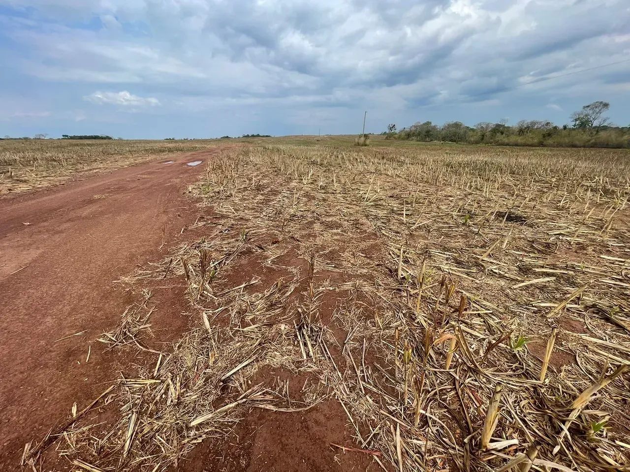 Fazenda a venda, em Redenção - Pará!!! - Foto 3