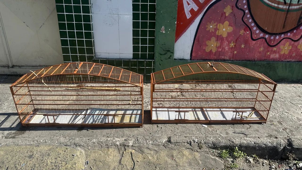 VOADOR 1m20
