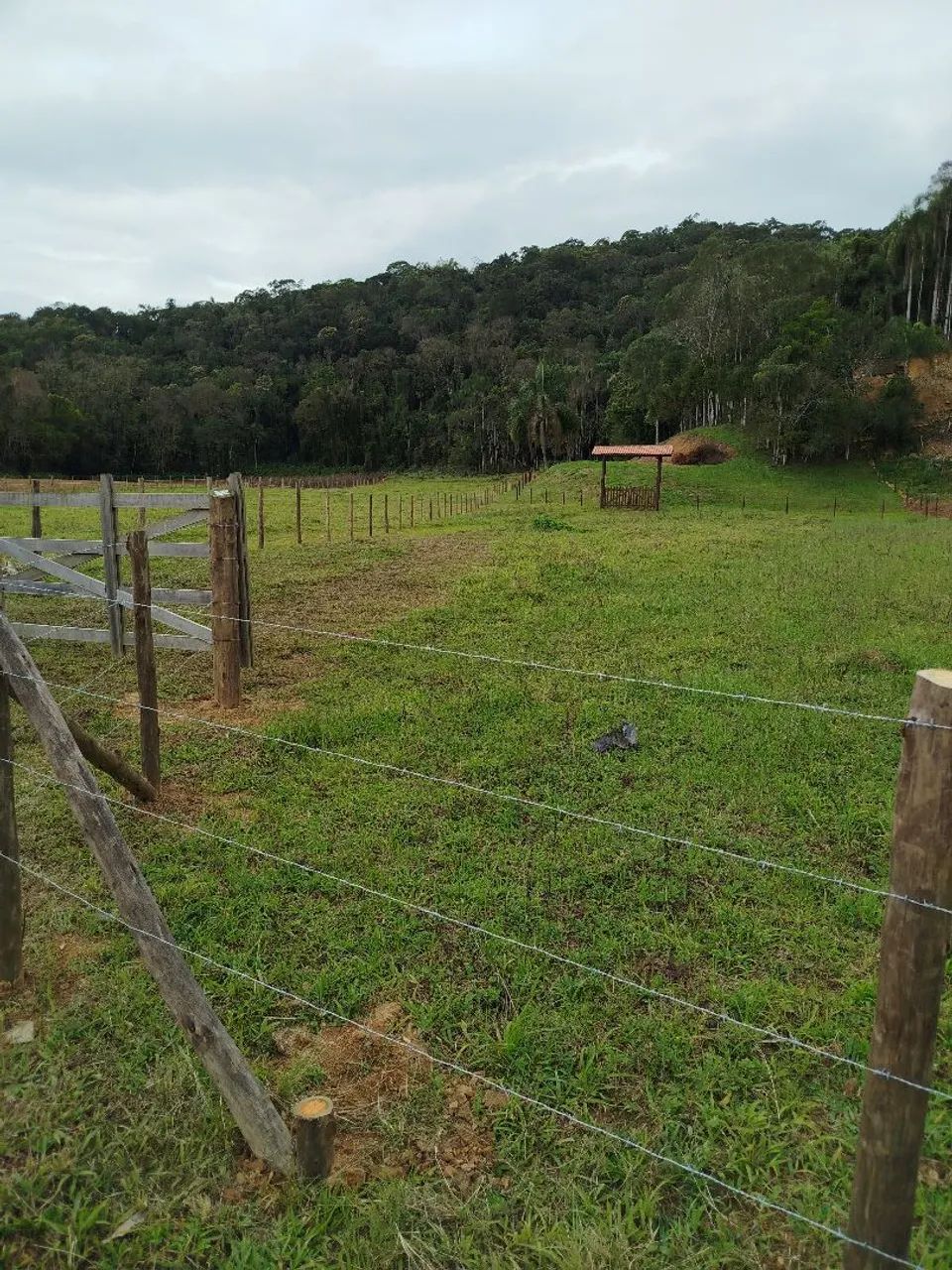  vendo Sítio em Santo Amaro da Imperatriz  - Foto 4
