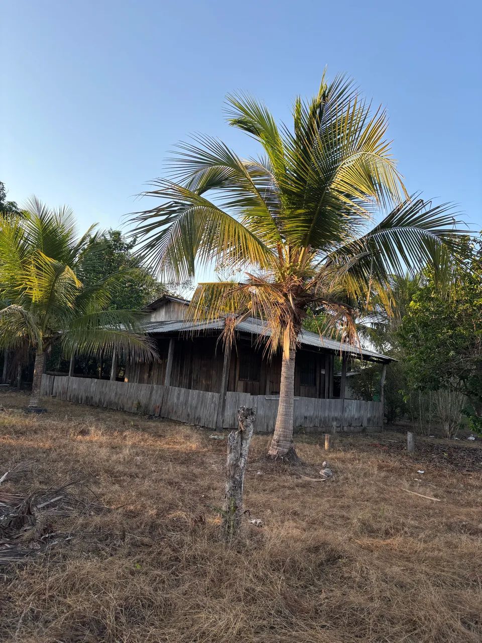 Vende-se sítio  - Foto 3
