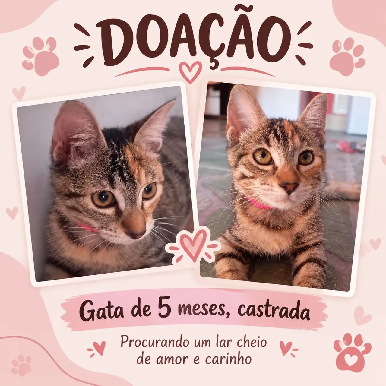 Doação 