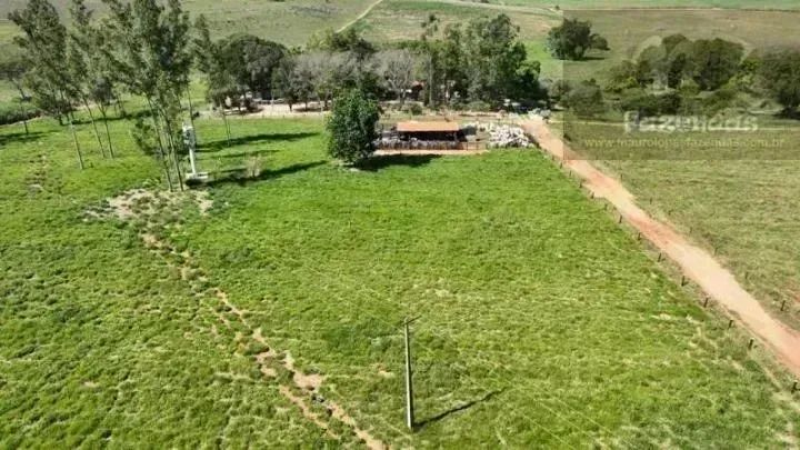 Vende-se Sítio  24 Alqueires | Junqueirópolis/SP - Foto 5