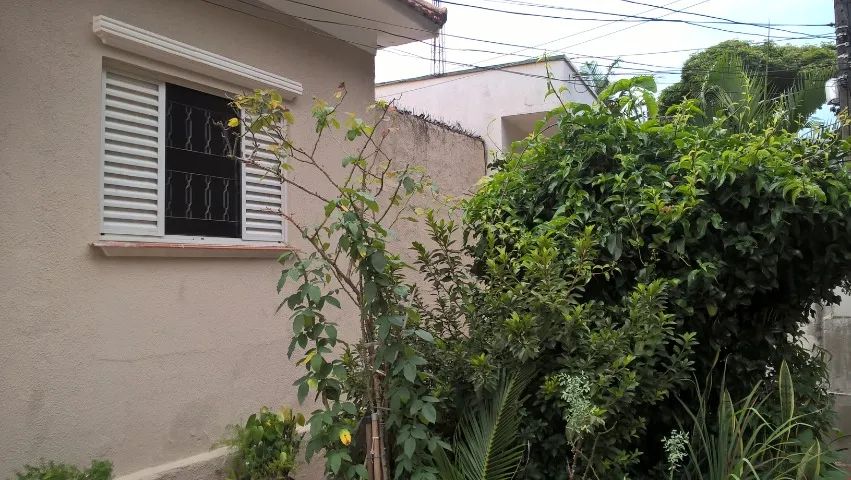 Foto - Campinas - Jardim Chapadão