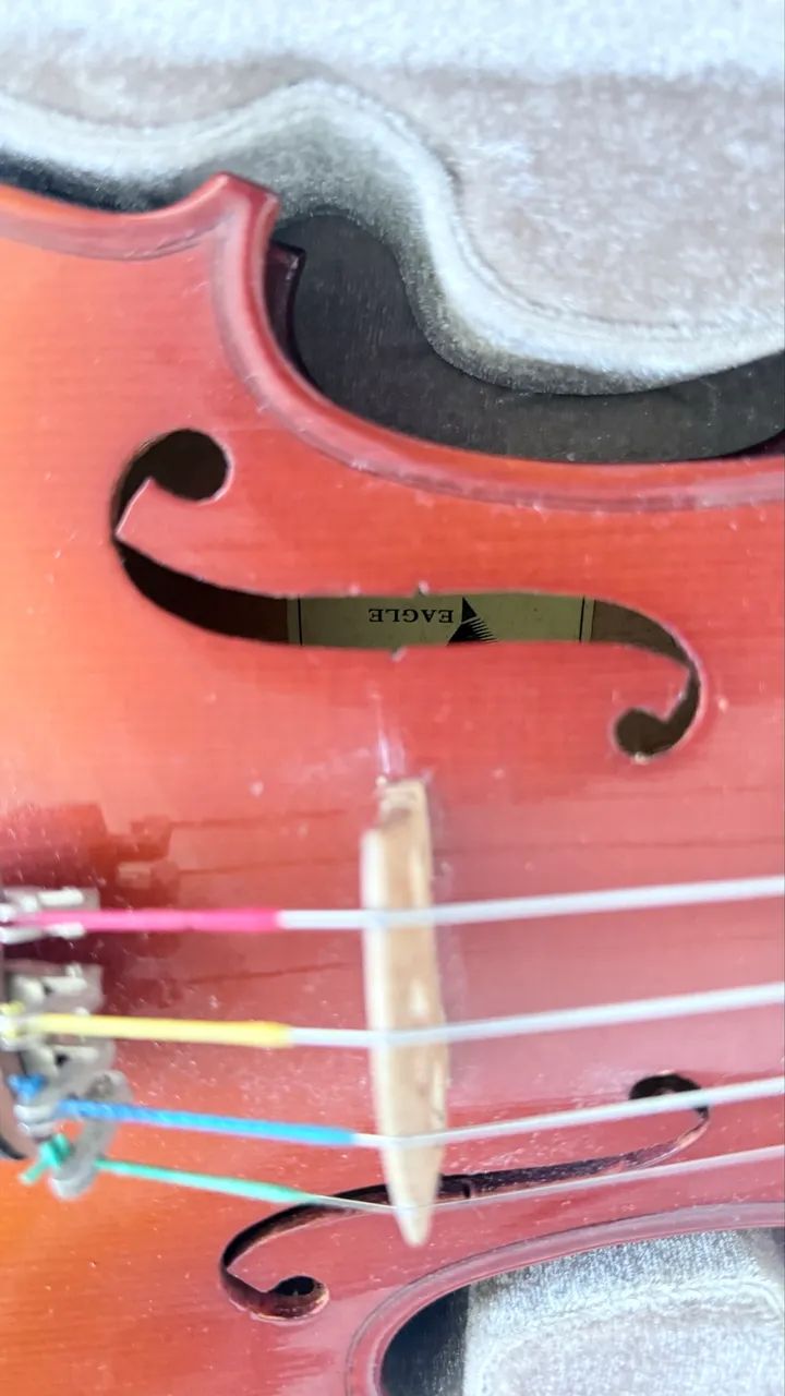 Violino 4/4 Eagle  VK - 441  - Foto 3