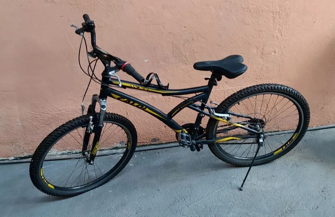 Bicicleta Caloi Andes 