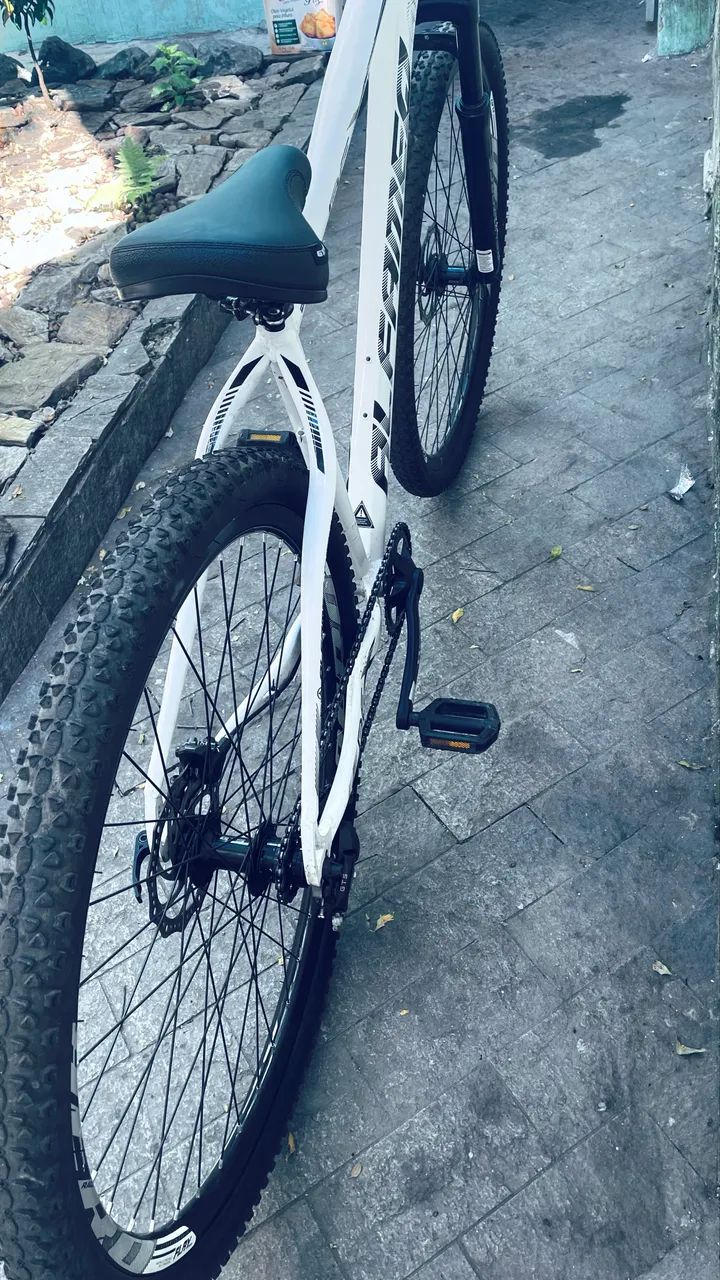 BIKE ALFAMEQ ARO 29 - Foto 4