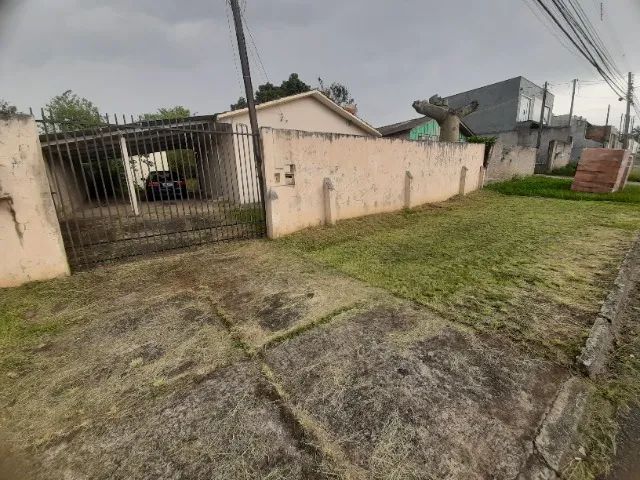Foto - Ponta Grossa - Uvaranas