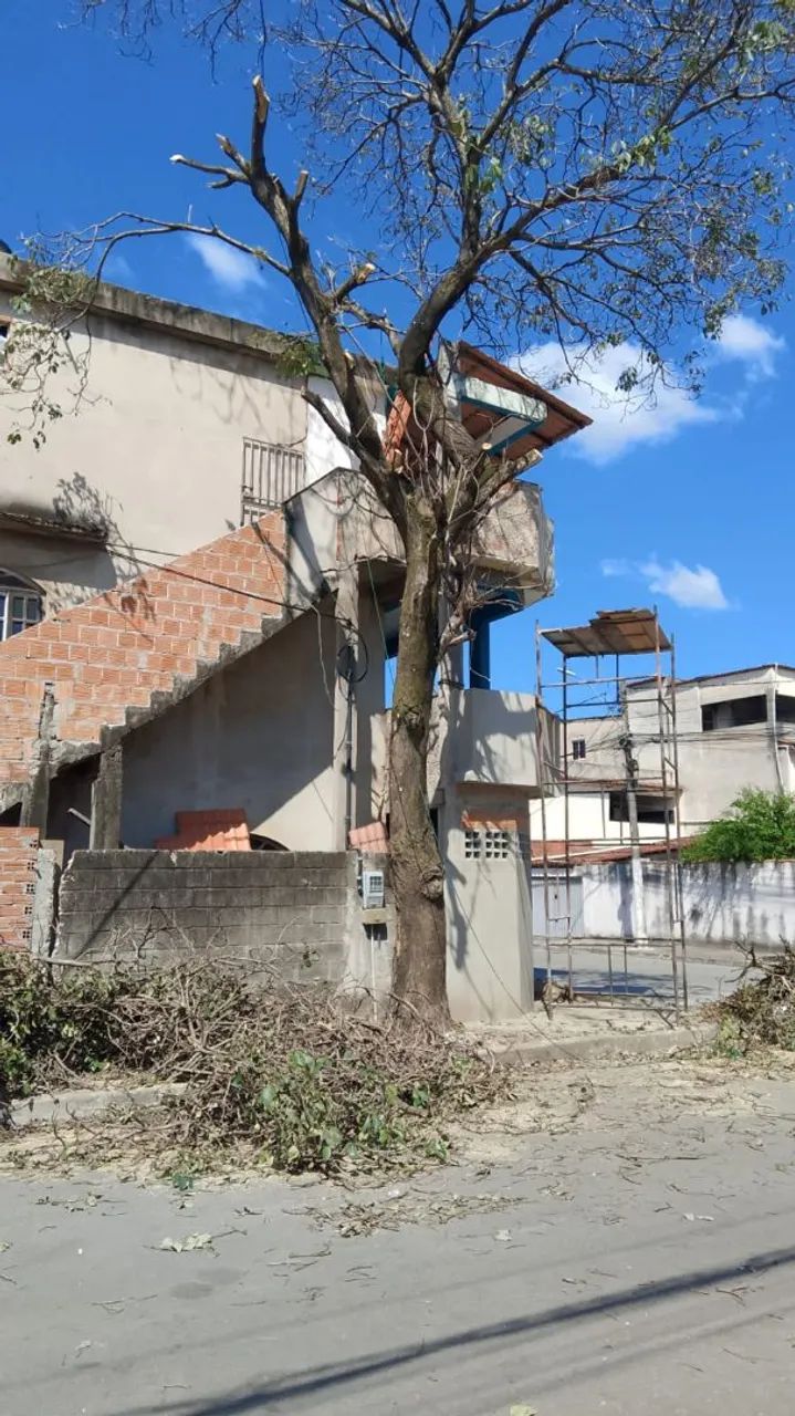 Corte e podas de árvores  - Foto 5