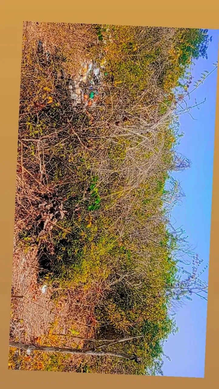 Terreno 20x60 - Foto 3