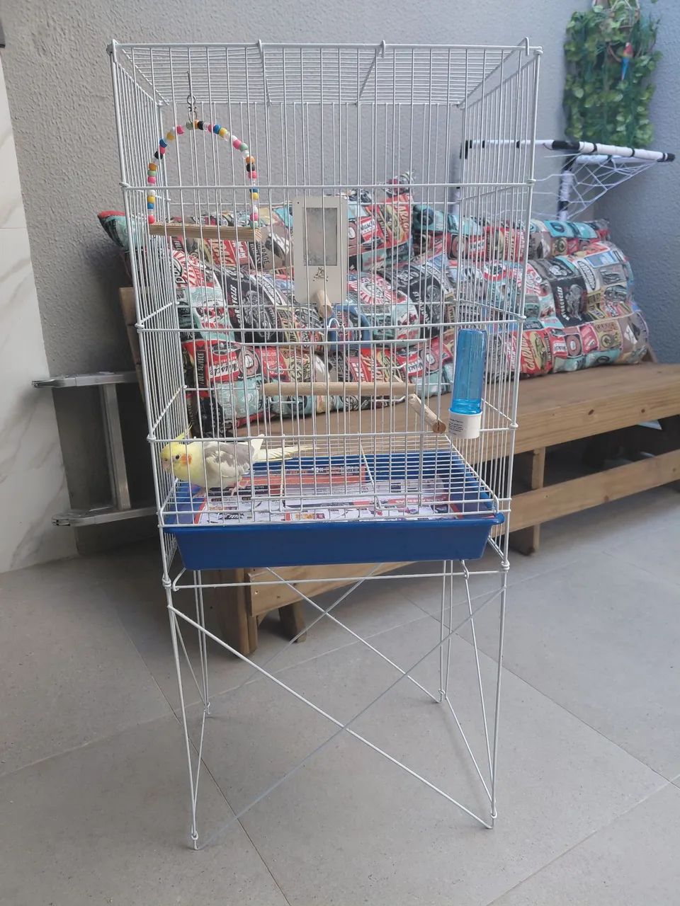 GAIOLA GRANDE  - Foto 2