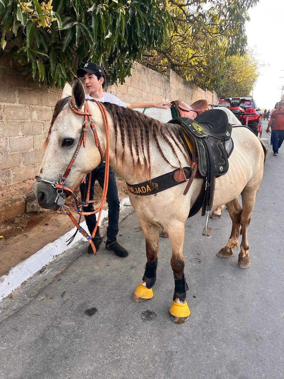 Piquira a venda 
