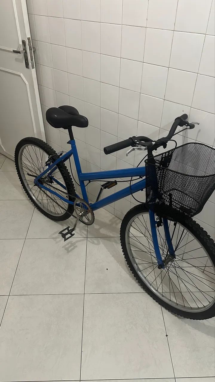 Bicicleta com Cestinha 