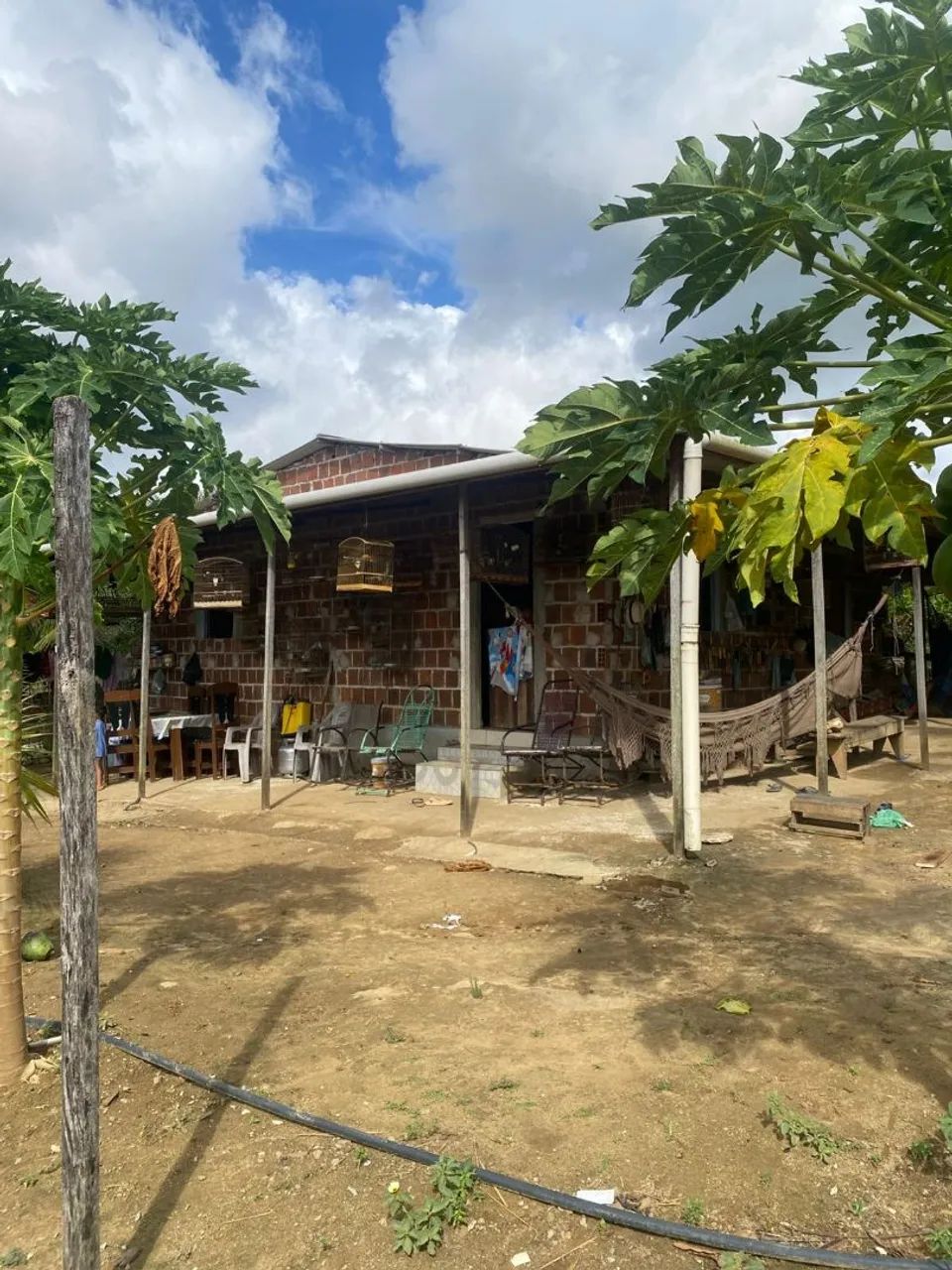 Foto - Jaboatão dos Guararapes - Piedade