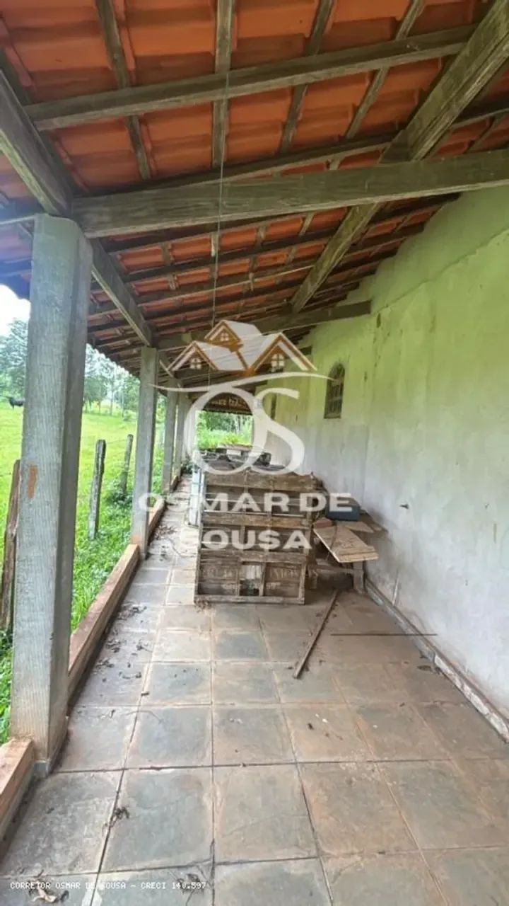 Chácara de 4.800m² em Pereiras - SP - Foto 3