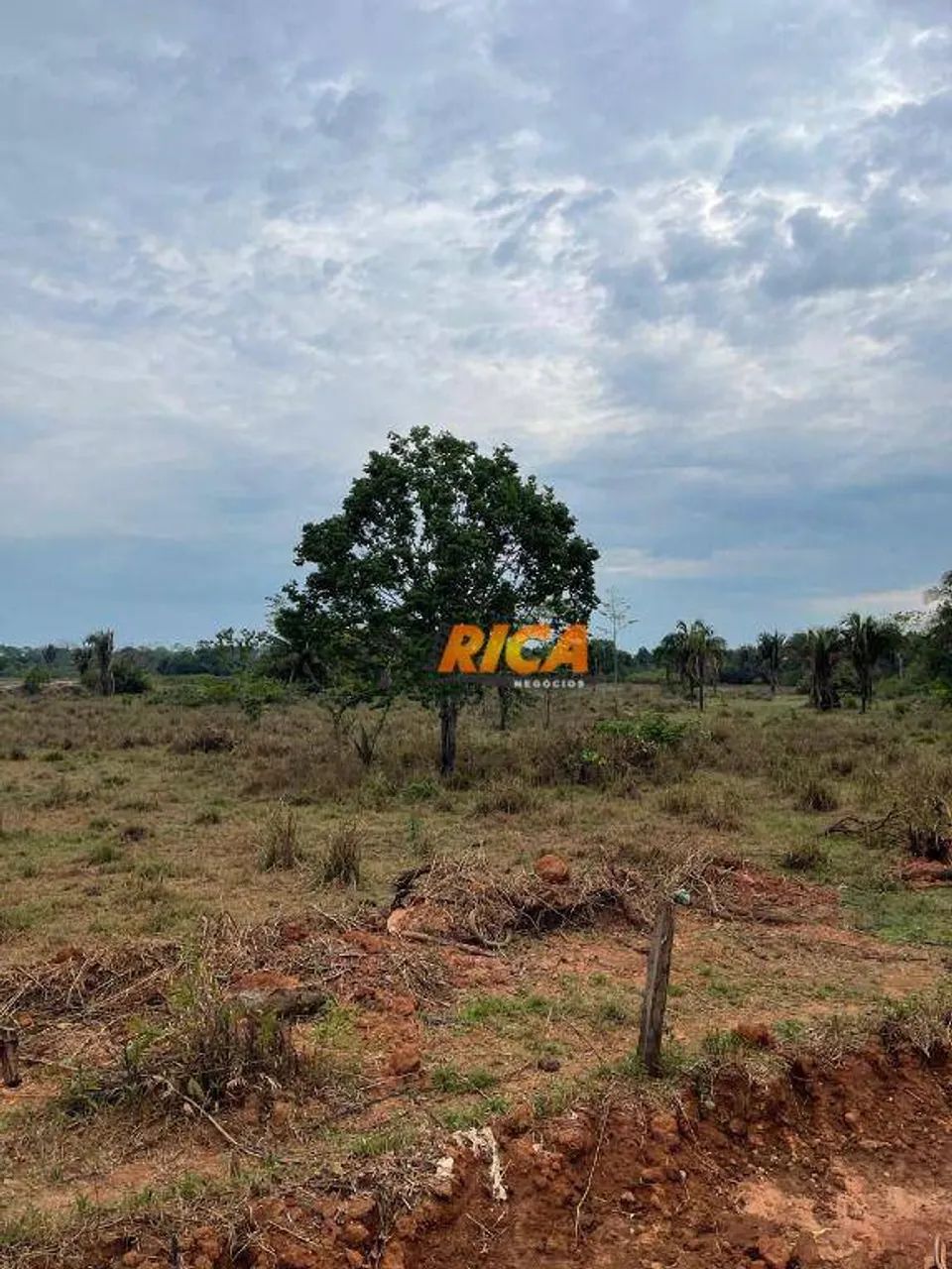 Vende-se Excelente Sítio em Urupá-RO! - Foto 4