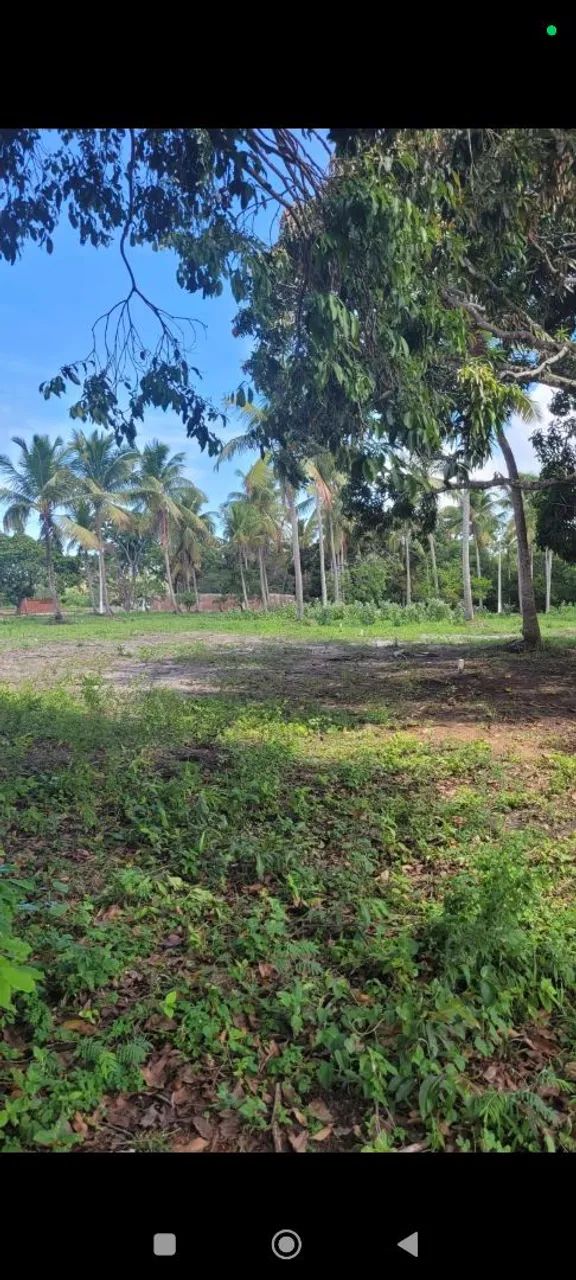 Terreno a 9 km de Porto de galinhas  - Foto 5