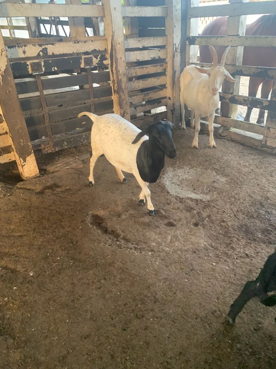 Agro e indústria  - Foto 2