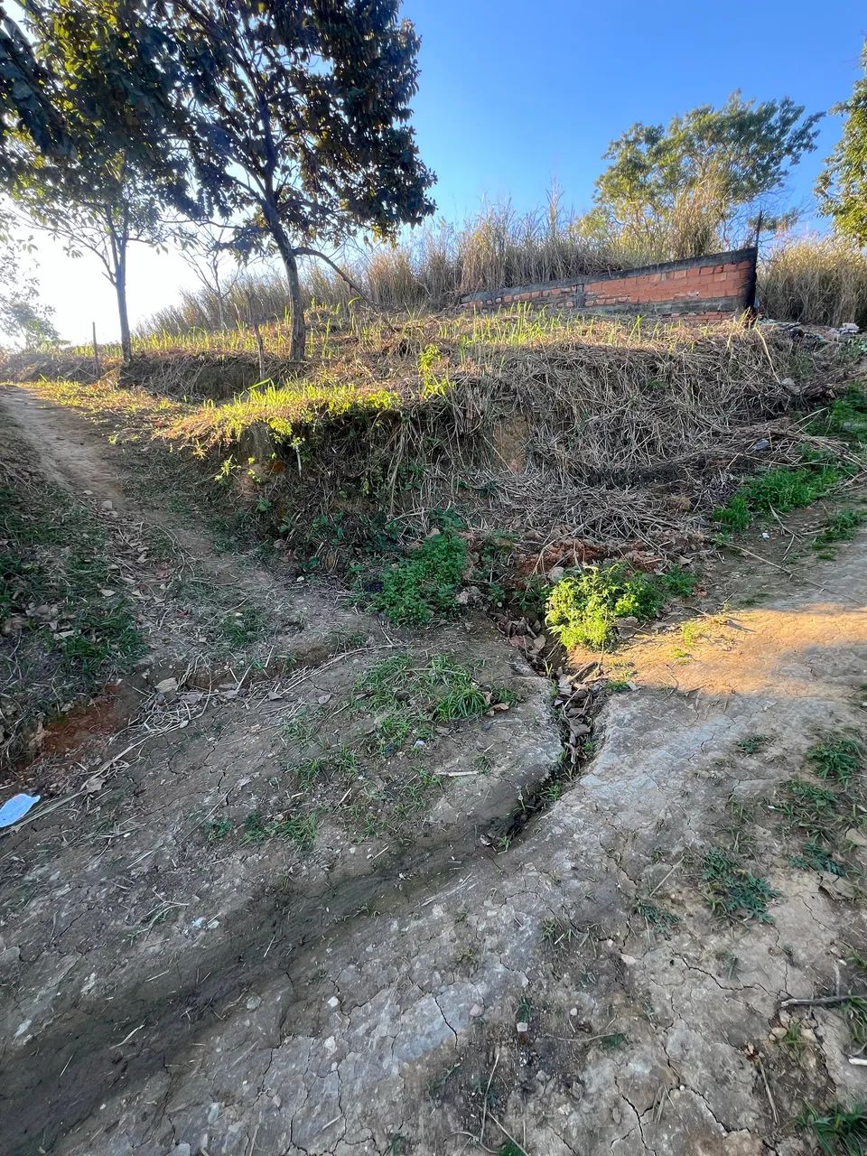 Terreno  - Foto 4