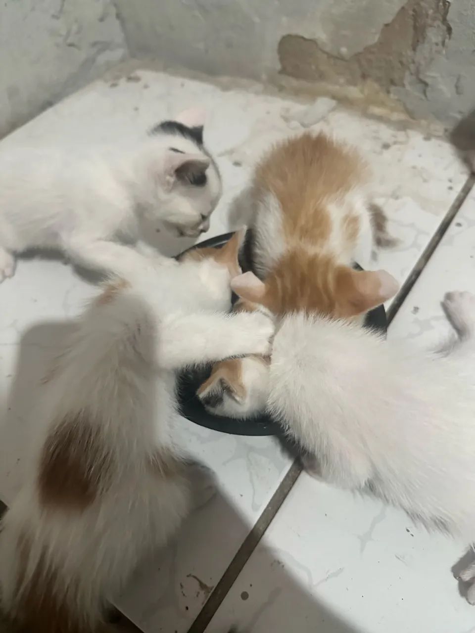 doação 