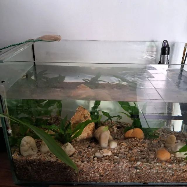 Aquário  - Foto 2