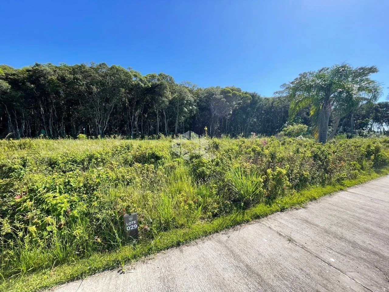 Terreno à venda em Garopaba com 360,10 m² - Foto 5