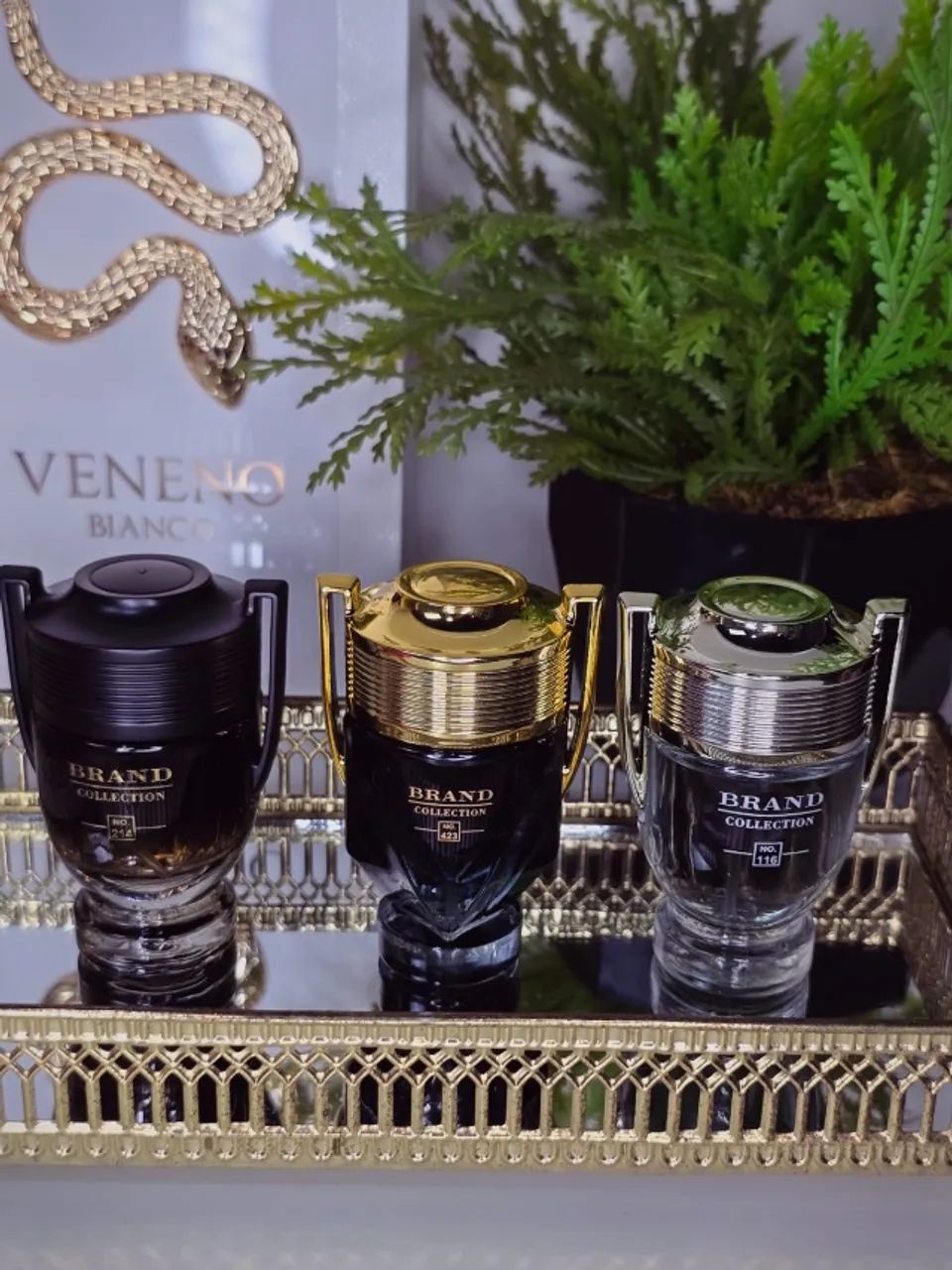 Perfumes Masculinos, Brand  - Foto 2