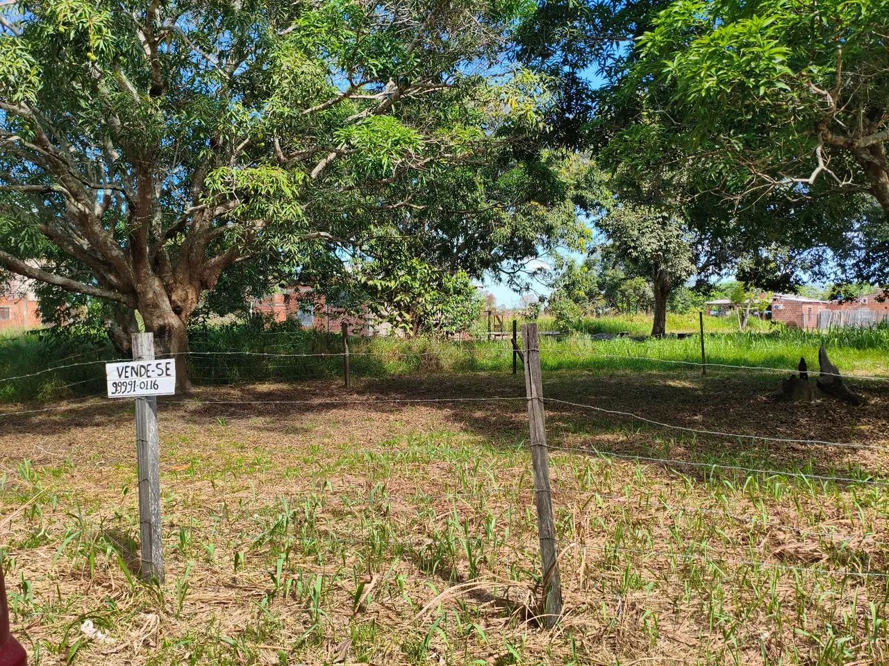 Terreno no Bom Jesus  - Foto 4