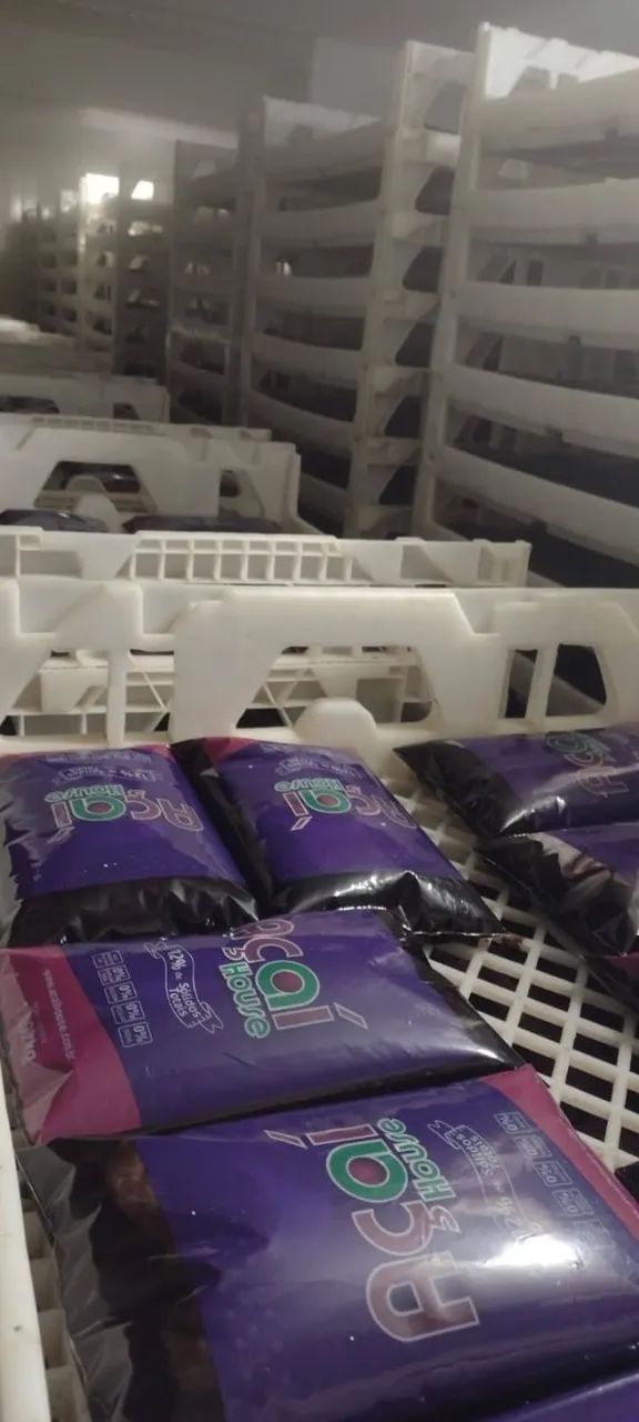 Fábrica de açaí  - Foto 4