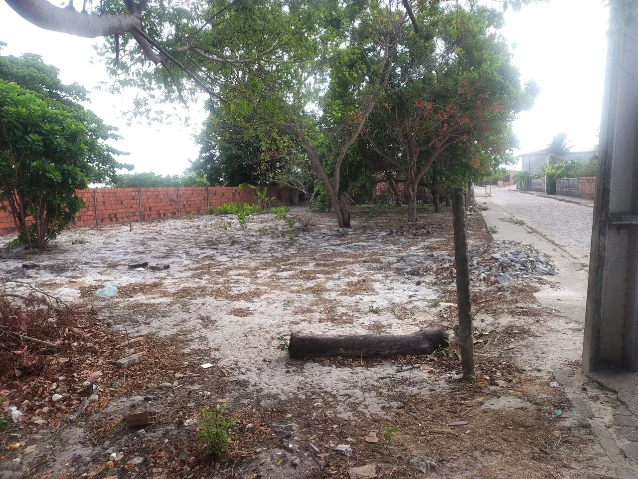 Terreno próximo a taiba 40x20  - Foto 2