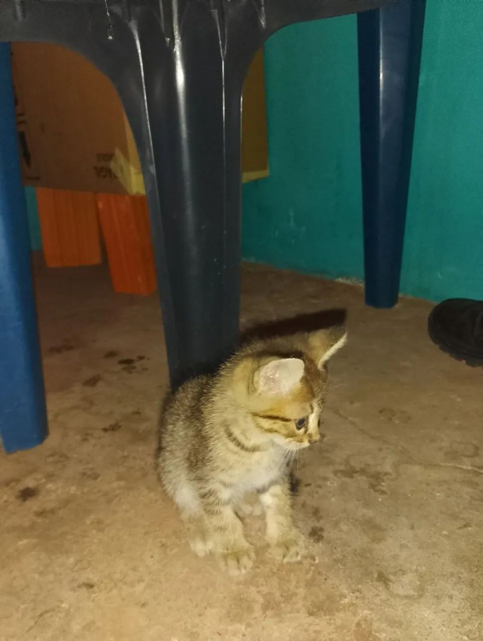 Doação 