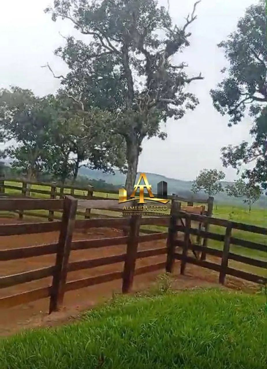 Fazenda à Venda em Coronel Macedo/SP - Foto 5