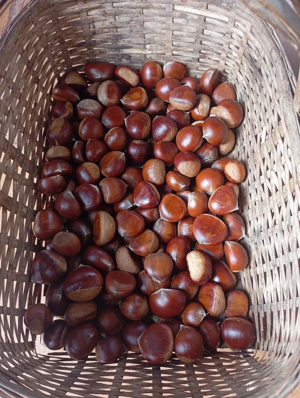 Castanhas portuguesa 