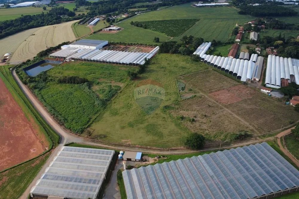 Terreno 20.000 m² planos a 5 km do centro de Holambra G3 - Foto 4