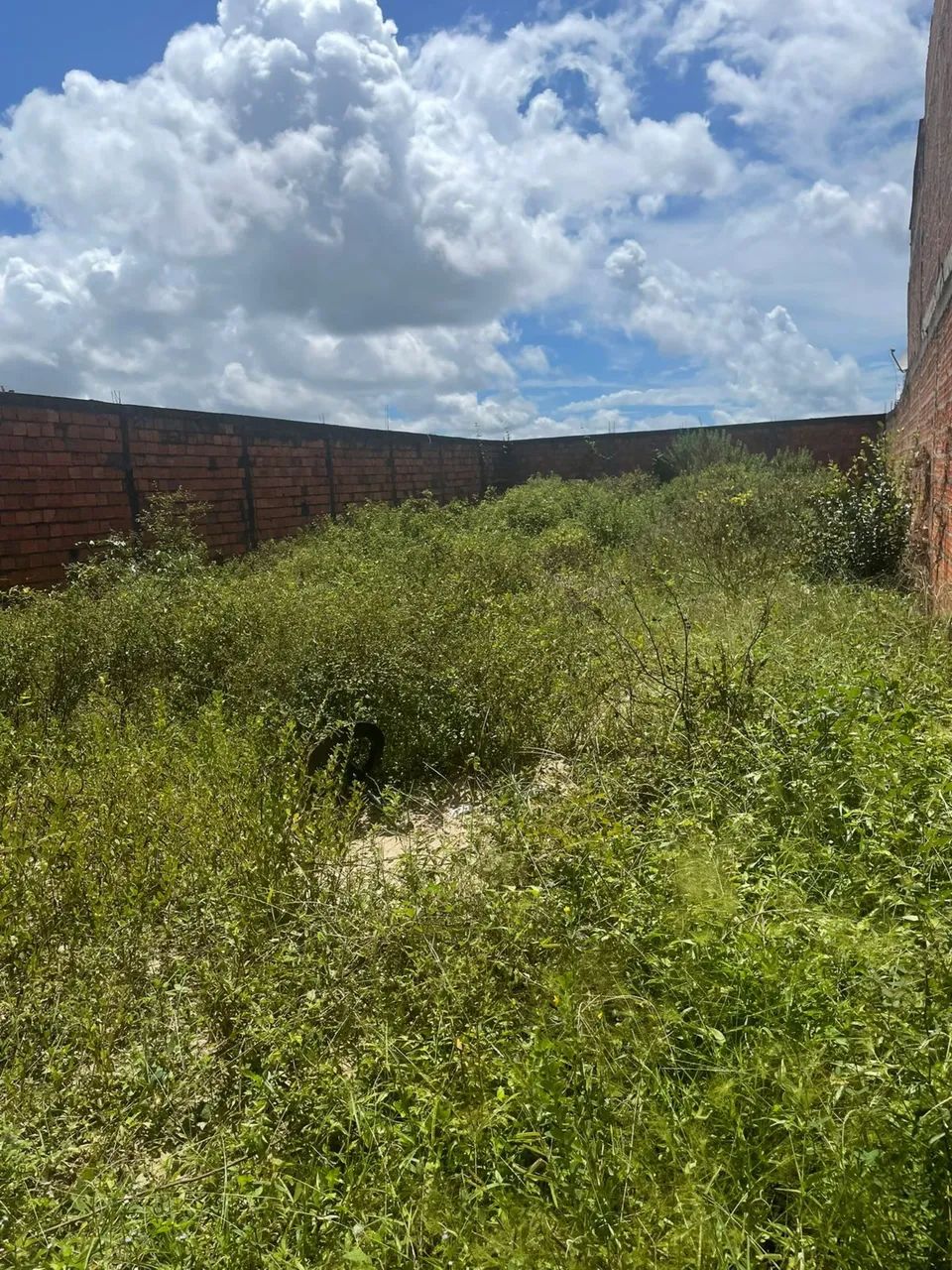 TERRENO EM BARREIRINHAS MA   - Foto 5