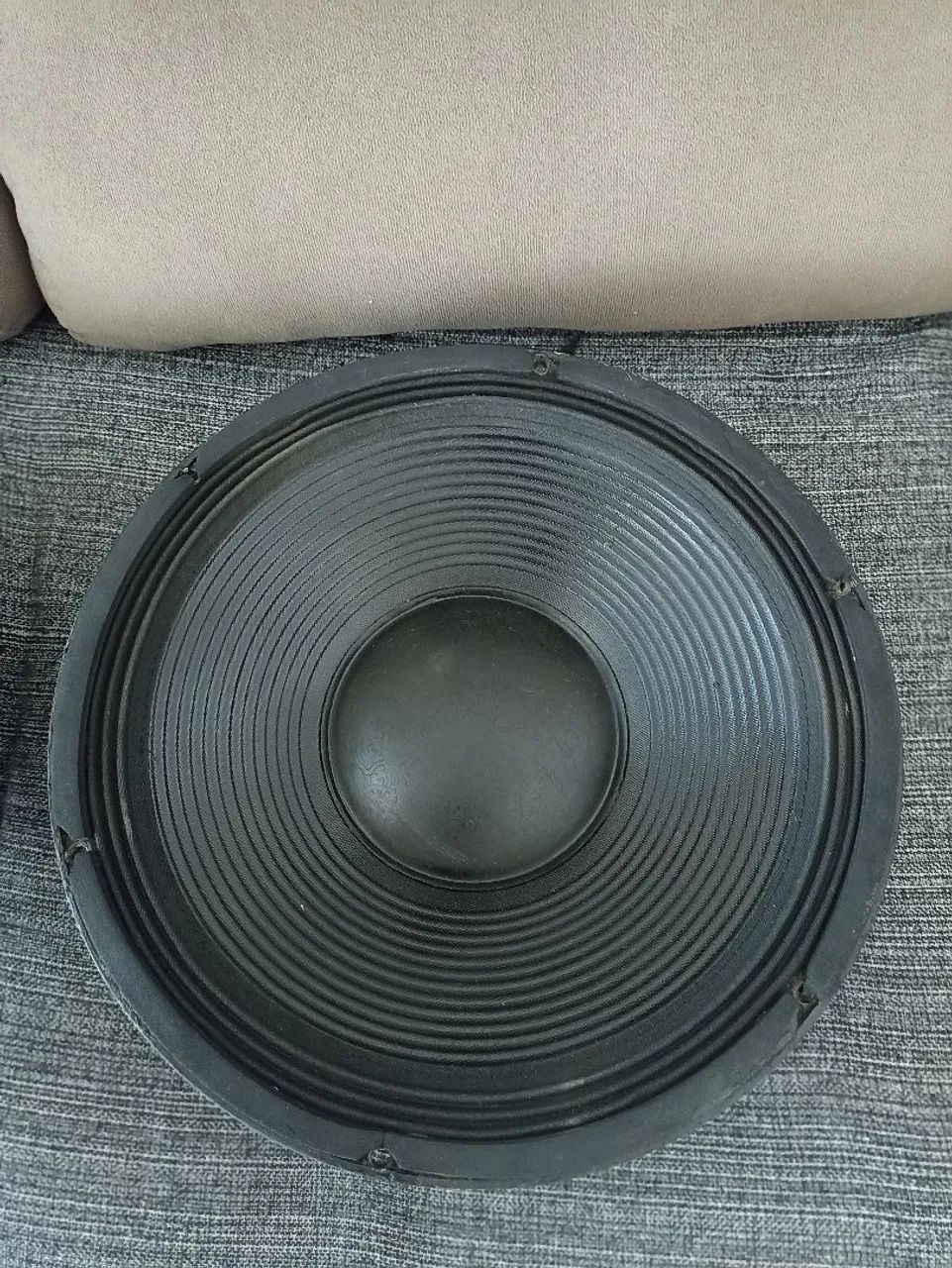 Auto falante de 15 polegadas